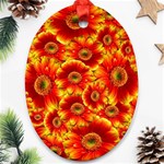 Gerbera Flowers Nature Plant Oval Ornament (Two Sides) Front