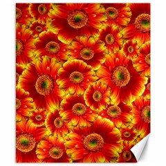 Gerbera Flowers Nature Plant Canvas 8  X 10  by Nexatart