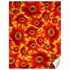 Gerbera Flowers Nature Plant Canvas 18  X 24   by Nexatart