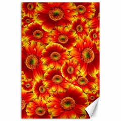 Gerbera Flowers Nature Plant Canvas 24  X 36  by Nexatart