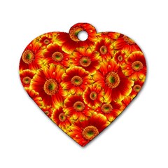 Gerbera Flowers Nature Plant Dog Tag Heart (one Side) by Nexatart