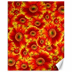 Gerbera Flowers Nature Plant Canvas 11  X 14   by Nexatart