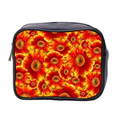 Gerbera Flowers Nature Plant Mini Toiletries Bag 2-side by Nexatart