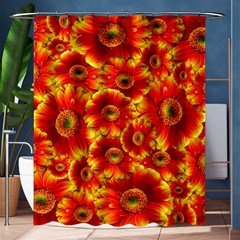 Gerbera Flowers Nature Plant Shower Curtain 60  X 72  (medium)  by Nexatart