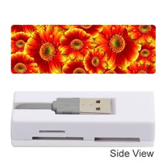 Gerbera Flowers Nature Plant Memory Card Reader (stick)  by Nexatart