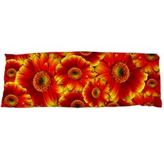 Gerbera Flowers Nature Plant Body Pillow Case Dakimakura (two Sides) by Nexatart