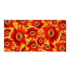 Gerbera Flowers Nature Plant Satin Wrap by Nexatart