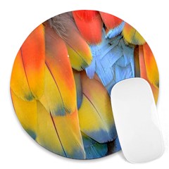 Spring Parrot Parrot Feathers Ara Round Mousepads by Nexatart