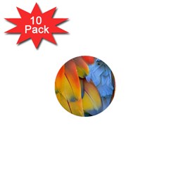 Spring Parrot Parrot Feathers Ara 1  Mini Buttons (10 Pack)  by Nexatart