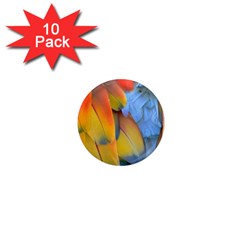 Spring Parrot Parrot Feathers Ara 1  Mini Magnet (10 Pack)  by Nexatart