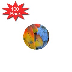 Spring Parrot Parrot Feathers Ara 1  Mini Magnets (100 Pack)  by Nexatart