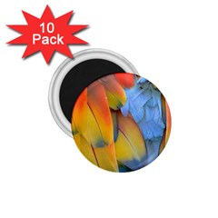 Spring Parrot Parrot Feathers Ara 1 75  Magnets (10 Pack)  by Nexatart