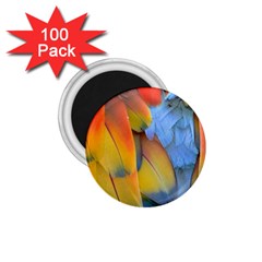 Spring Parrot Parrot Feathers Ara 1 75  Magnets (100 Pack)  by Nexatart