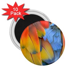 Spring Parrot Parrot Feathers Ara 2 25  Magnets (10 Pack)  by Nexatart