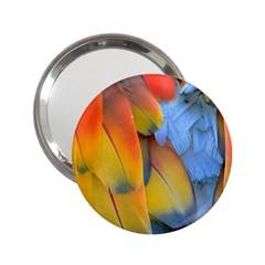 Spring Parrot Parrot Feathers Ara 2 25  Handbag Mirrors by Nexatart