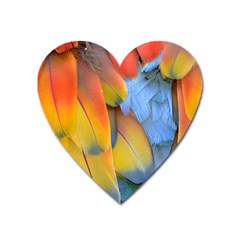 Spring Parrot Parrot Feathers Ara Heart Magnet by Nexatart