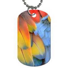 Spring Parrot Parrot Feathers Ara Dog Tag (two Sides) by Nexatart