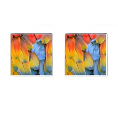 Spring Parrot Parrot Feathers Ara Cufflinks (square) by Nexatart