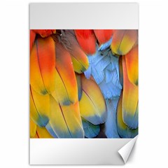 Spring Parrot Parrot Feathers Ara Canvas 24  X 36  by Nexatart