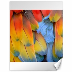 Spring Parrot Parrot Feathers Ara Canvas 36  X 48   by Nexatart