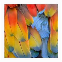 Spring Parrot Parrot Feathers Ara Medium Glasses Cloth by Nexatart