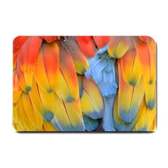 Spring Parrot Parrot Feathers Ara Small Doormat  by Nexatart