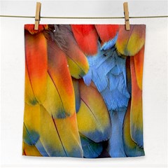 Spring Parrot Parrot Feathers Ara Face Towel by Nexatart