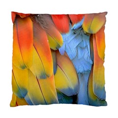 Spring Parrot Parrot Feathers Ara Standard Cushion Case (two Sides) by Nexatart