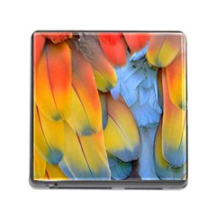 Spring Parrot Parrot Feathers Ara Memory Card Reader (square) by Nexatart