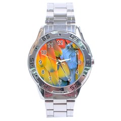 Spring Parrot Parrot Feathers Ara Stainless Steel Analogue Watch by Nexatart