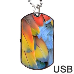 Spring Parrot Parrot Feathers Ara Dog Tag Usb Flash (one Side) by Nexatart