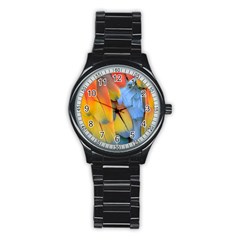 Spring Parrot Parrot Feathers Ara Stainless Steel Round Watch by Nexatart