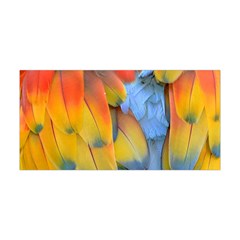 Spring Parrot Parrot Feathers Ara Yoga Headband by Nexatart