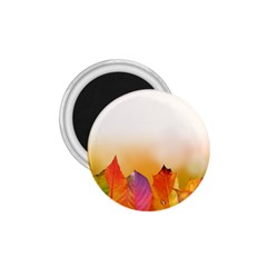 Autumn Leaves Colorful Fall Foliage 1 75  Magnets by Nexatart