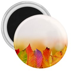 Autumn Leaves Colorful Fall Foliage 3  Magnets by Nexatart