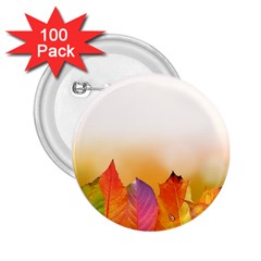 Autumn Leaves Colorful Fall Foliage 2 25  Buttons (100 Pack)  by Nexatart