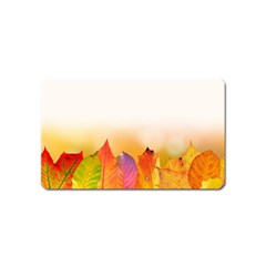 Autumn Leaves Colorful Fall Foliage Magnet (name Card) by Nexatart