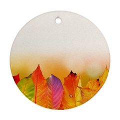 Autumn Leaves Colorful Fall Foliage Round Ornament (two Sides) by Nexatart