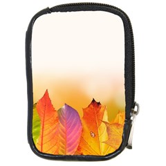 Autumn Leaves Colorful Fall Foliage Compact Camera Cases by Nexatart