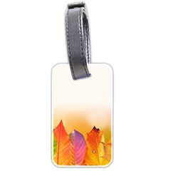 Autumn Leaves Colorful Fall Foliage Luggage Tags (two Sides) by Nexatart