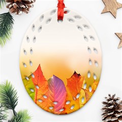 Autumn Leaves Colorful Fall Foliage Ornament (oval Filigree) by Nexatart