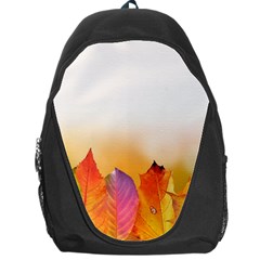 Autumn Leaves Colorful Fall Foliage Backpack Bag by Nexatart