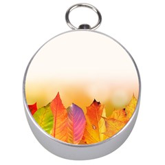 Autumn Leaves Colorful Fall Foliage Silver Compasses by Nexatart