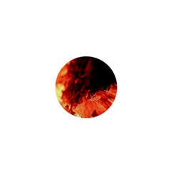 Fire Log Heat Texture 1  Mini Buttons by Nexatart