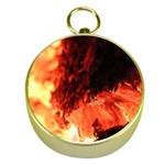 Fire Log Heat Texture Gold Compasses Front