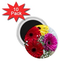 Flowers Gerbera Floral Spring 1 75  Magnets (10 Pack)  by Nexatart