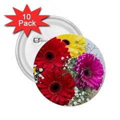 Flowers Gerbera Floral Spring 2 25  Buttons (10 Pack)  by Nexatart