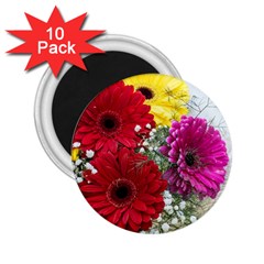 Flowers Gerbera Floral Spring 2 25  Magnets (10 Pack)  by Nexatart