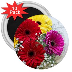 Flowers Gerbera Floral Spring 3  Magnets (10 Pack)  by Nexatart