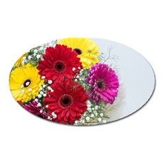 Flowers Gerbera Floral Spring Oval Magnet by Nexatart